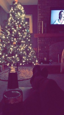 takemesomewheresouth:  My Friday night 🎄🍺  Looks like a perfect night to me