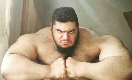 witch-daddy:suzuki12345:I love him, Sajad Gharibi!Give me strong hug !!Sajad Gharibi 175 kg / 385 lb