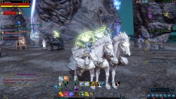 Pics of me an mah boifriend standing together with some of my new mounts OWO~ Lookit my horse is slightly smaller than his I love it &lt;3