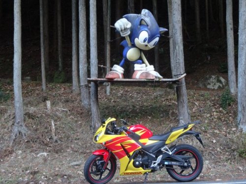 pr0jectneedlemouse: In the remote mountain forests of Nabari, Japan, there is a giant Sonic statue -