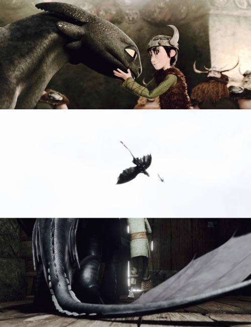 thethiefandtheairbender: get to know me meme: 1/5  relationfriendships - Hiccup and Toothless from 