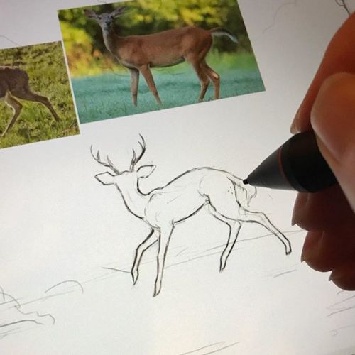 Things to come…•#painting #wip #greekmythology #actaeon #aktaion #deer #sketching http://ift.