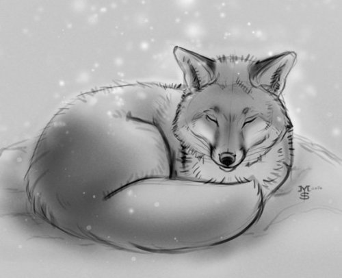 (via Sekhmet on Twitter: &ldquo;This hungover loafing fox wishes you Happy New Year and all the 