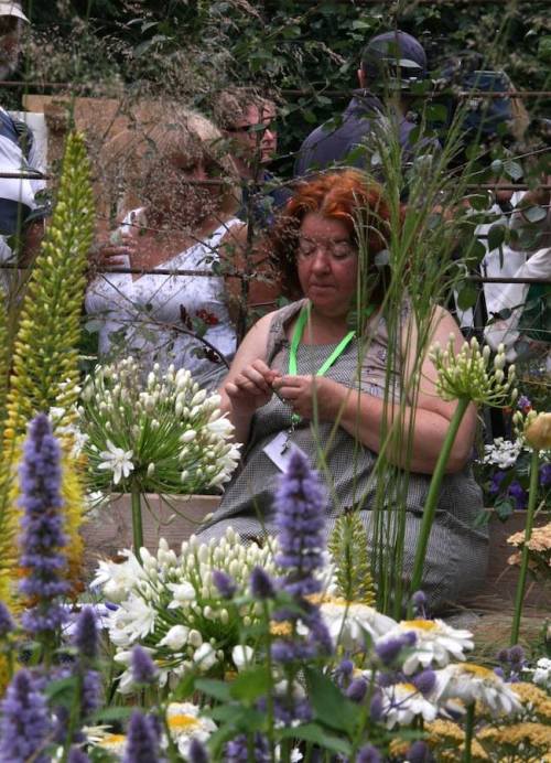 Knitting hummingbirds in ‘A Space to Connect and Grow’ at RHS Hampton Court Flower Show. Designed by Jeni Cairns in collaboration with Sophie Antonelli of the Green Backyard for Metal Peterborough, it won a gold medal and Best Summer Garden.
It was...