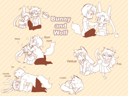 Wolf and bunny