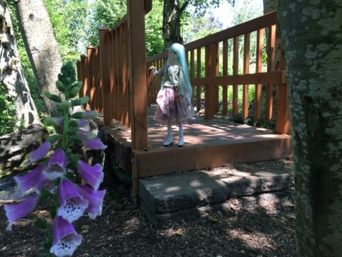 Miku and Vanilla in the Secret Garden, at the Oregon Gardens in Silverton, Oregon.