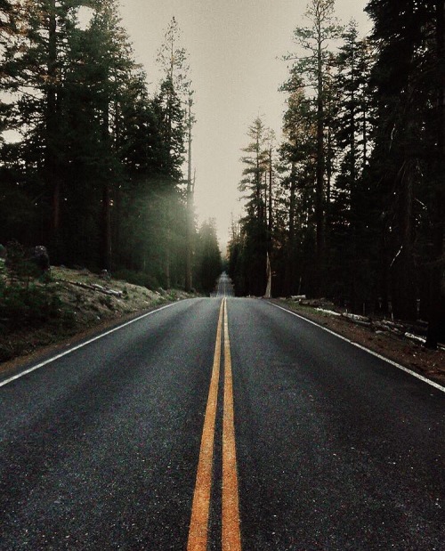 I'd Love To Spend A Lot Of 2 Wheeled Therapy Here!