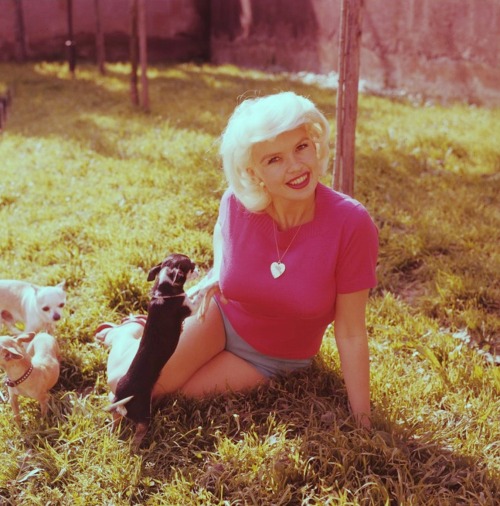 jeanjeanie61:  Jayne Mansfield In Pastels adult photos