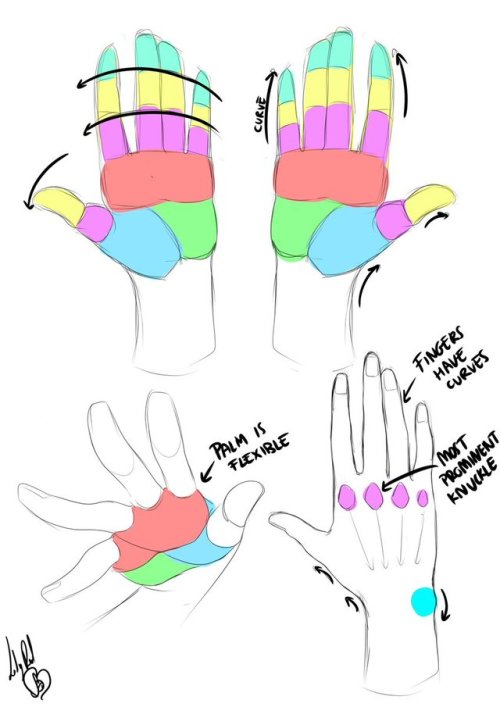 lady-redhaired: Here’s a breakdown for hands too ‘cause why not.-Red
