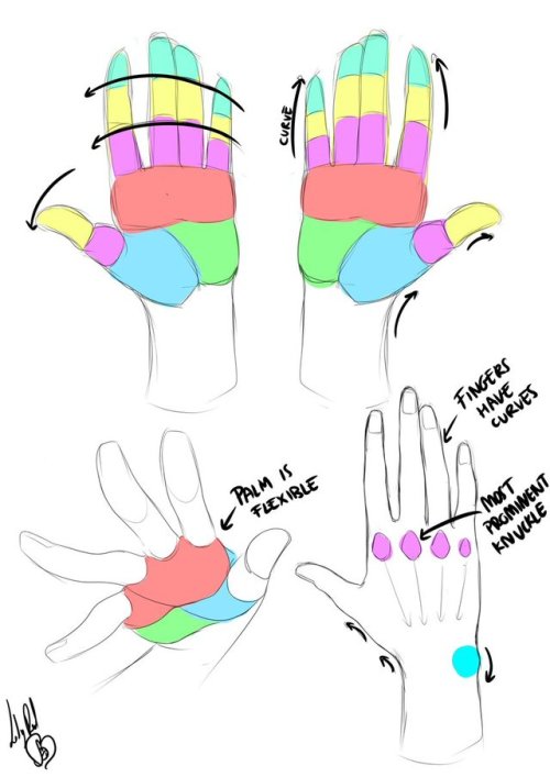 lady-redhaired - Here’s a breakdown for hands too ‘cause why...