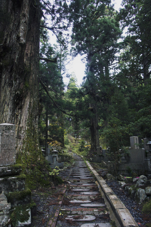 おはよう日本！~Koyasan~ | pt. 1