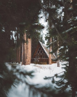 cabinsdaily:  Cabin of the day 🌲