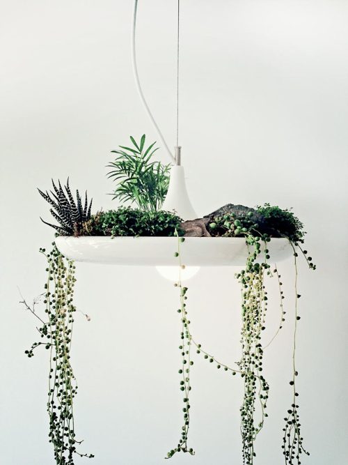 estudiogloriajover:babylon suspended garden light fixture by  studio O/I 
