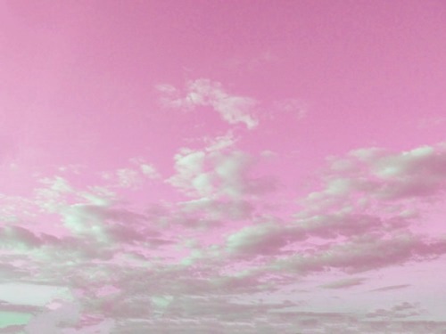 succulentubus:for minseok-teato match your pastel kibum heart ♥
