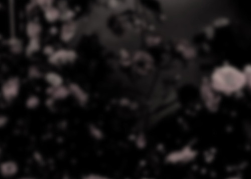 THE POISON ARCHIVES