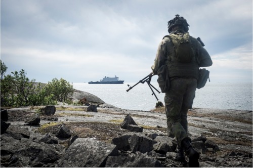 militaryarmament:Swedish, Finnish and U.S Marines cooperating during the large scale international exercise BALTOPS 2016. 10 June, 2016.