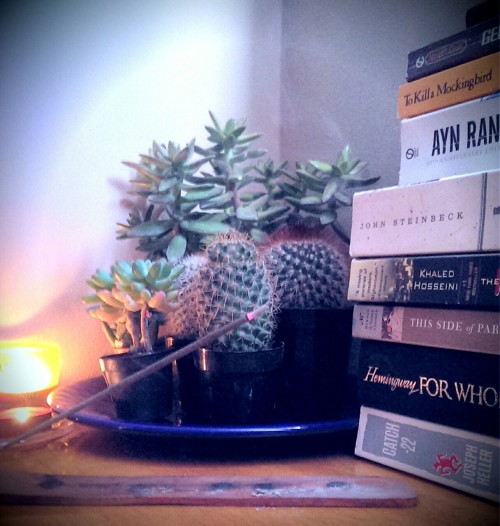 timeless-styles:#literature #cacti #eastofeden