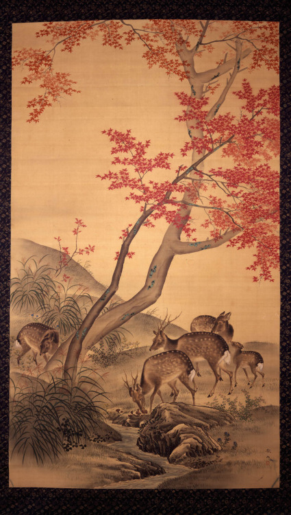 Five Deer Beneath Red-leafed Maples BesideStreamMori Tetsuzan (森徹山)(Japanese; 1775 –1841)ca. 1800–47