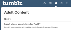 rorby:  Hey, remember when tumblr wasn’t