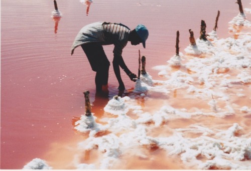 manufactoriel:Tropical Salt, Haiti, by Gary Pierre-Pierre