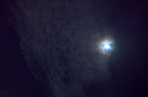 c0ry-c0nvoluted:  The moon looked so cool last night. Tomorrow (11/14/16) is supposed to be a Super Moon: the biggest it will be for 20 years or so. I couldn’t get the moons details with my phone, but how the clouds cute the ring around the moon in