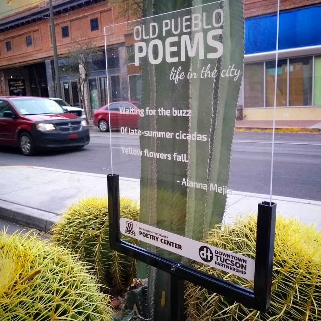 Take a #haiku hike downtown #tucson to celebrate spring! 20 poems are posted in planters around Congress and Stone…find mine and send me a pic if you happen by :)) Thank you @uapoetrycenter...