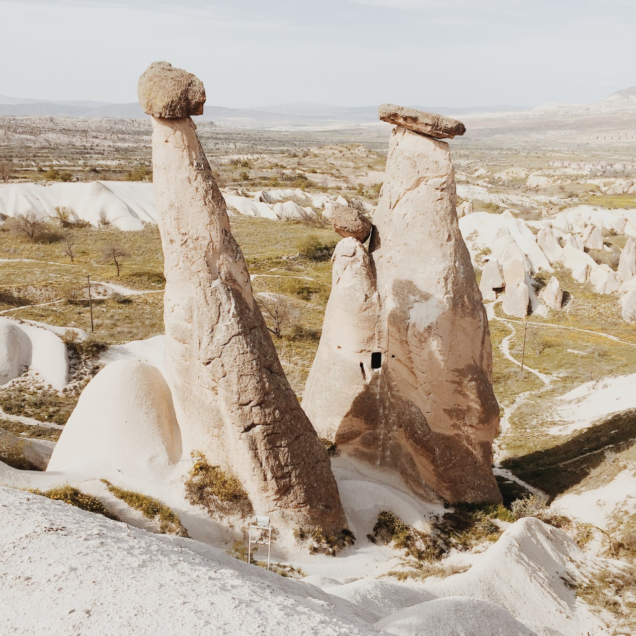 danielodowd:  http://crncyln.vsco.co/