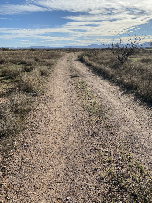 A Dirt Track In The Southern Sulphur Springs Valley, Cochise County, Arizona.