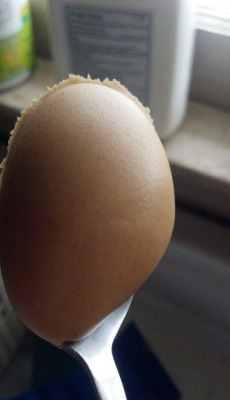 human:  bailey-elizabeth-ryan:  ridleyscottish:  human:  this picture of peanut butter is so satisfying  anyone else think it was an egg at first  i thought it was a man in a suit with a really odd face…  What the heck  I thought it was a thumb with
