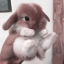 me1lo1dy