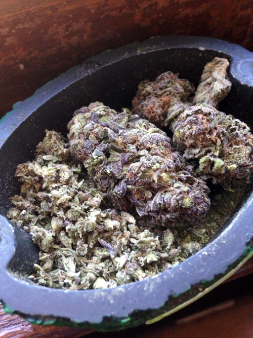 youngbrokestoned:  This weed was just so pretty I can’t..👽 