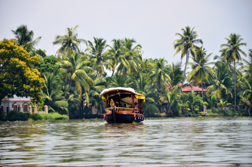 Days 7 &amp; 8 - ALLEPPEY, INDIA &ldquo;Three nights in the backwaters (sort of)&rdquo;2