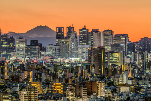 ourbedtimedreams:    Shinjyuku by Takuya Igarashi    