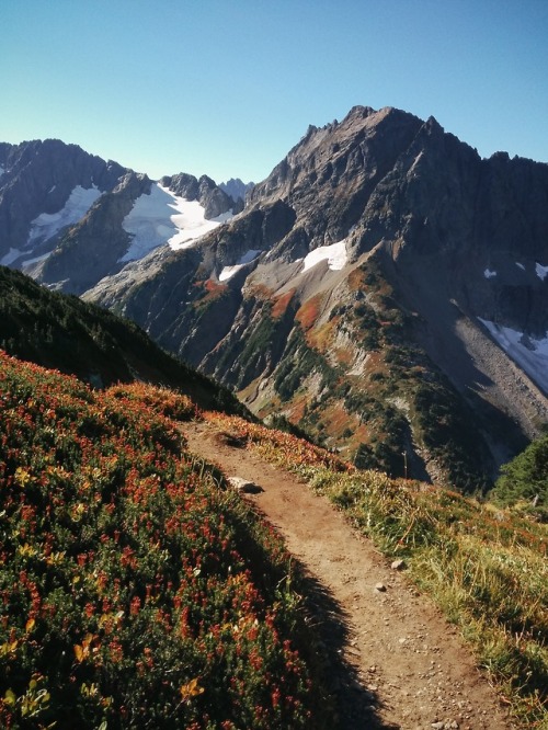 expressions-of-nature:North Cascades National Park, WA by Jordan Bowman