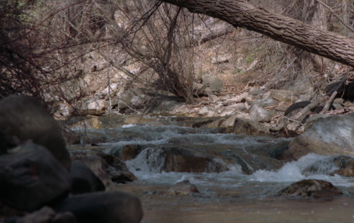 snow is melting, 2013.Mountains around Salt lake City. (update 5/9)