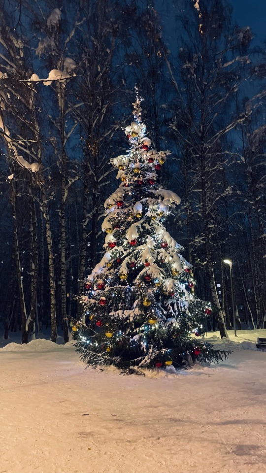 All I Want For Christmas Is You Hope You Know It