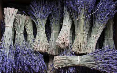 cageofstars: Lavender bundles in a market in L’Isle sur la Sorgue, France.