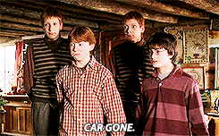 renbismark:  misterkevo:  theadventuresofpam:  Harry was the favorite kid and he wasn’t even an official part of the family  Because Molly knows exactly how the Dursleys treat him. There’s no way Ron wouldn’t tell her. And Molly Weasley is a Mother.