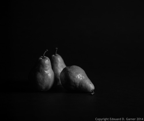 Three - decided to get out the 6x7 ( Mamiya Rb67) and try some still life shooting. Shot on Ilford D