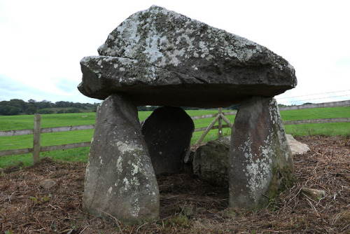 Mynydd Cefn Amlwch (Coetan Arthur) Burial Chamber, Lleyn Peninsula, North Wales, 14.8.18.It was nice