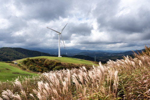 rjkoehler:Reeds, meadows and a big wind turbine, Sky Ranch, Pyeongchang.