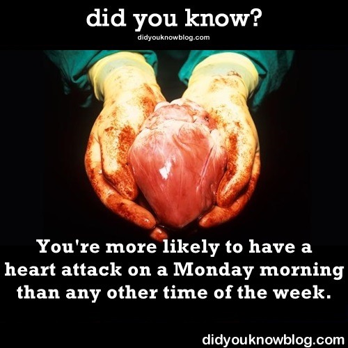 did-you-kno:25 Facts About The Human Heart Today is National Wear Red Day, a reminder that heart disease is the #1 worldwide killer of women (and men). Share this to bring awareness and learn some surprising facts about your heart!Read More/Source