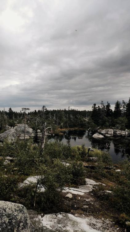  Vottovaara Mountain. Republic of Karelia. If you like this picture, follow me on instagram: www.ins