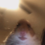 sootkrateagain