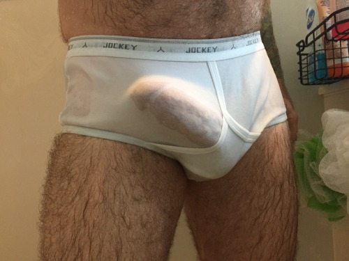 pup-sleeves-underwear-pics:  Pup in His Jockey porn pictures