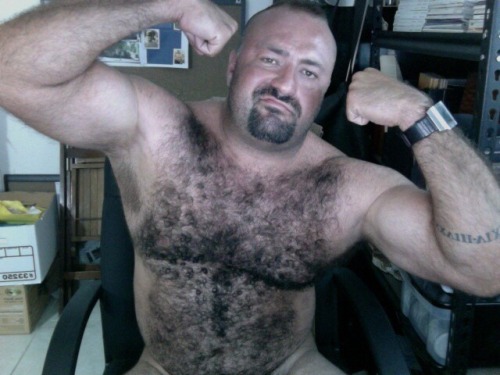 Beefy Furry Daddy porn pictures