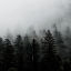 forestdruidic