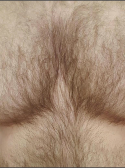 yummyhairydudes: YUM!  For MORE HOT HAIRY