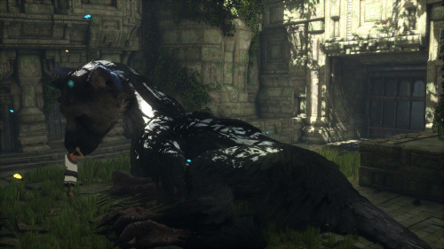 chiouart:  saigonorequiem:  The Last Guardian (Playstation JP Screenshots)  omigoodness please yes YASSSS