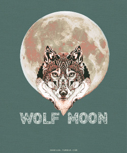 Ohhelga:  Teen Wolf Episode Posters; S1 Wolf Moon (X) 